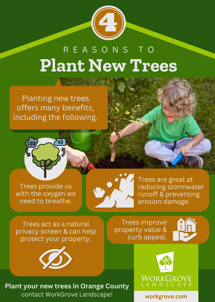 Four Benefits of Planting New Trees WorkGrove Landscape, Inc.
